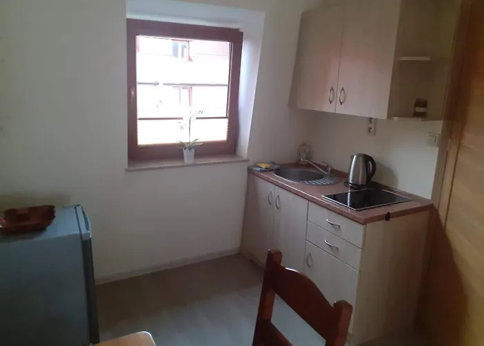 Διαμέρισμα Syrenka Ούστκα